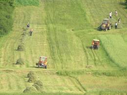 Ukraina eksportuje coraz mniej produktów rolnych
