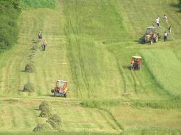 Chińscy rolnicy zamierzają wydzierżawić kolejne hektary ziemi