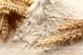 Wstrzymano eksport pszenicy