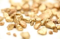 Polyus ogłosił, że jedno z jego złóż złota może być największe na świecie