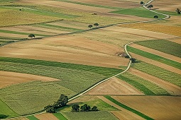 Rozpoczął się trzeci etap prywatyzacji ziemi